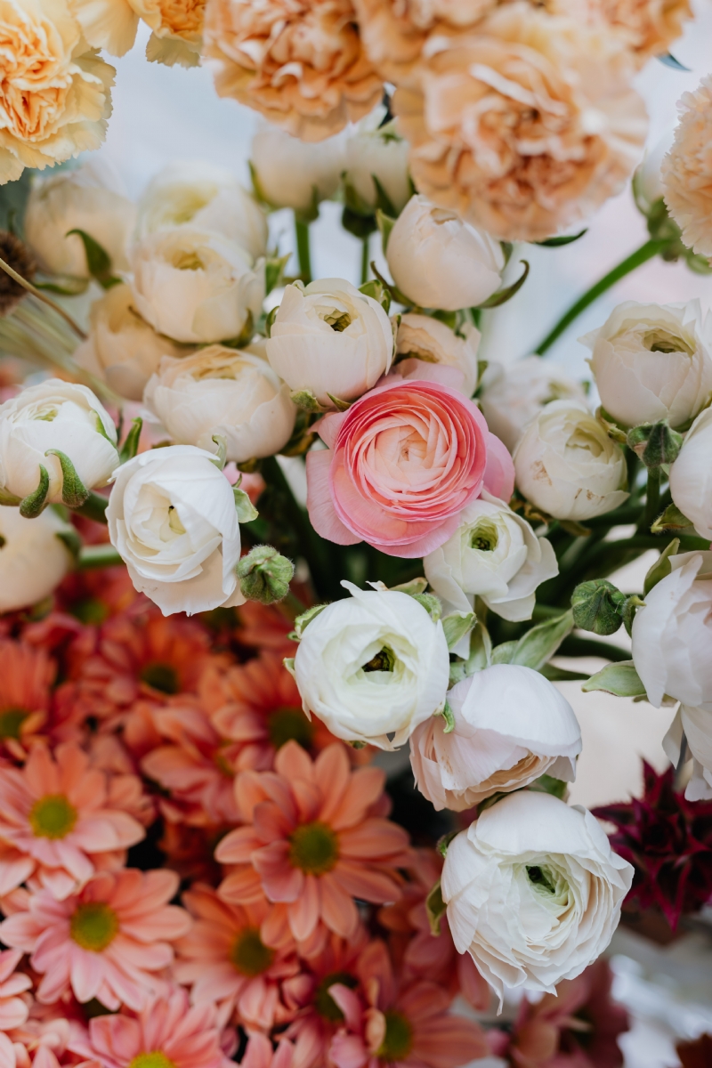 kaboompics_Ranunculus, buttercups, spearworts and water crowfoots.jpg 参考素材,灵感来源,色彩搭配,