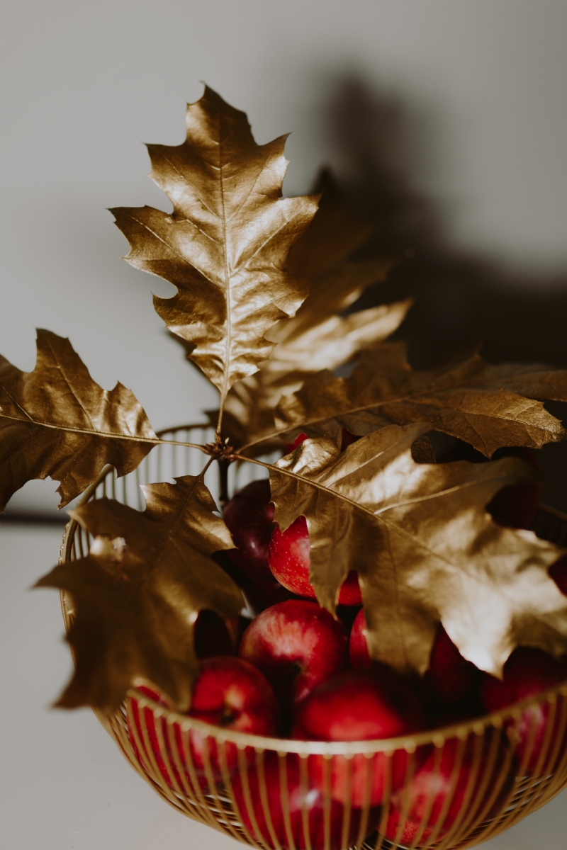 kaboompics_Red apples and golden oak leaves.jpg 参考素材,灵感来源,色彩搭配,
