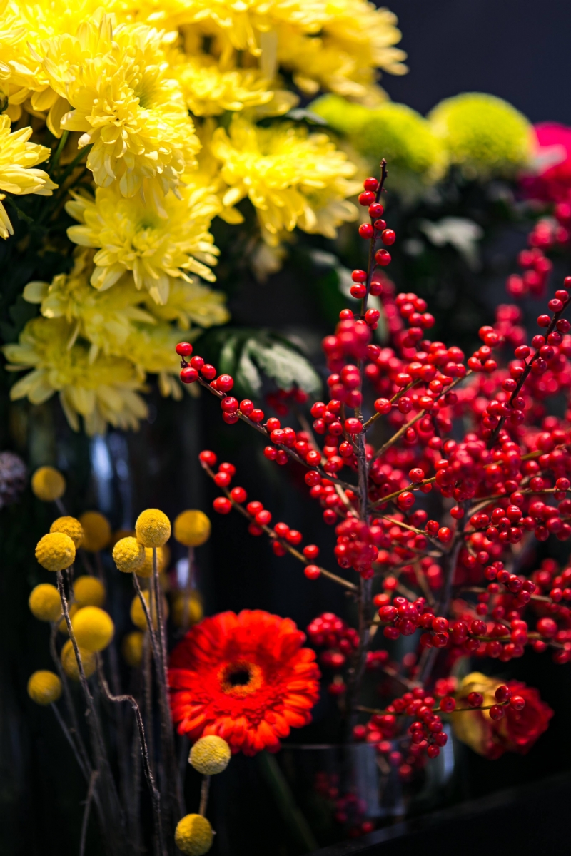 kaboompics_Red rowan with a colourful arrangement of flowers.jpg 参考素材,灵感来源,色彩搭配,
