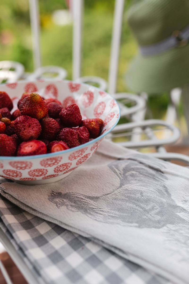 kaboompics_Strawberries in a bowl.jpg 参考素材,灵感来源,色彩搭配,