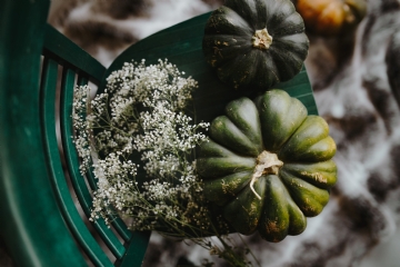 色彩搭配 kaboompics_Top view of green pumpkin.jpg