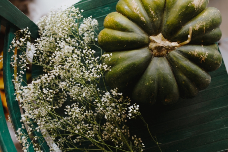 kaboompics_Top view of green pumpkin-2.jpg 参考素材,灵感来源,色彩搭配,