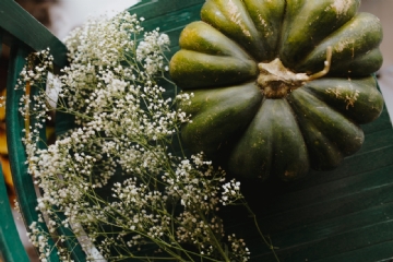 色彩搭配 kaboompics_Top view of green pumpkin-2.jpg