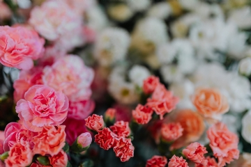 参考素材 kaboompics_Various multicolored fresh flowers (carnations).jpg