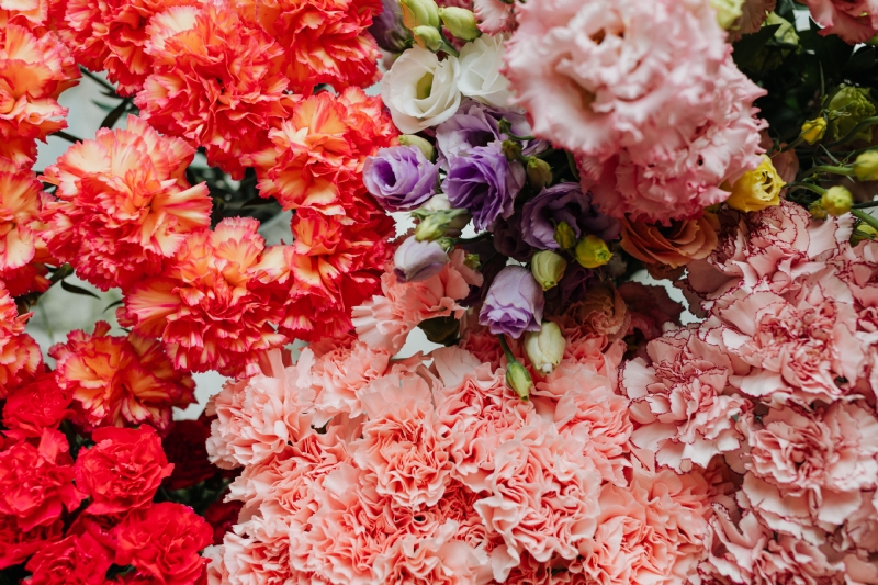 kaboompics_Various multicolored fresh flowers (carnations, eustoma).jpg 参考素材,灵感来源,色彩搭配,