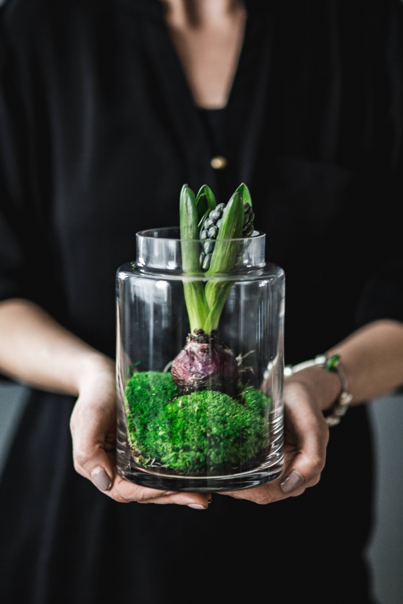 kaboompics_Woman holding a green seedling planted in a glass pot.jpg 参考素材,灵感来源,色彩搭配,