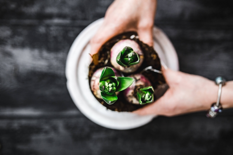 kaboompics_Woman holding seedlings in a pot.jpg 参考素材,灵感来源,色彩搭配,