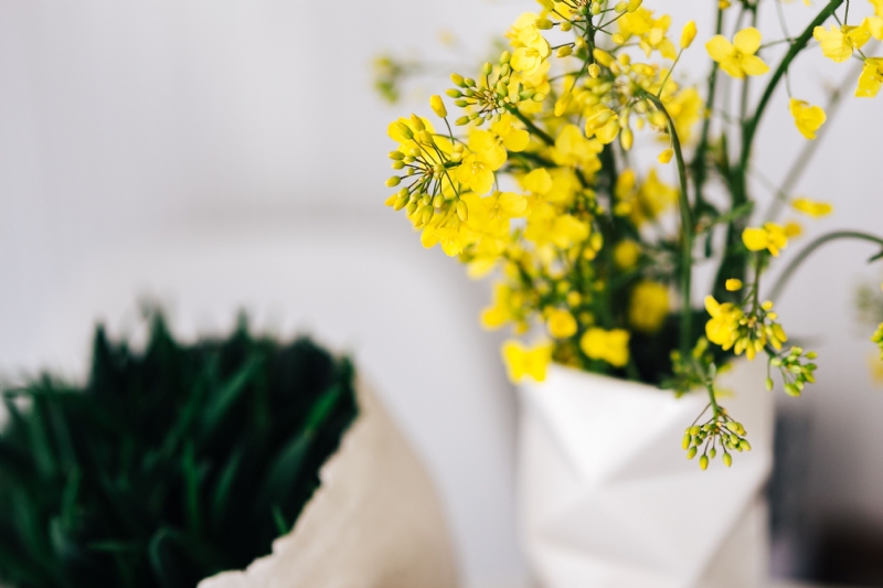 kaboompics_Yellow flowers in vase.jpg 参考素材,灵感来源,色彩搭配,