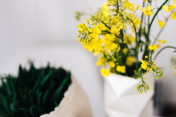 参考素材 kaboompics_Yellow flowers in vase.jpg