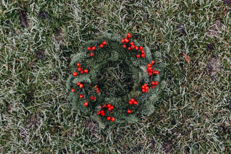 kaboompics_A Very Merry Fresh Holly Wreath for Christmas.jpg 方案配图,色彩意境,绿色,
