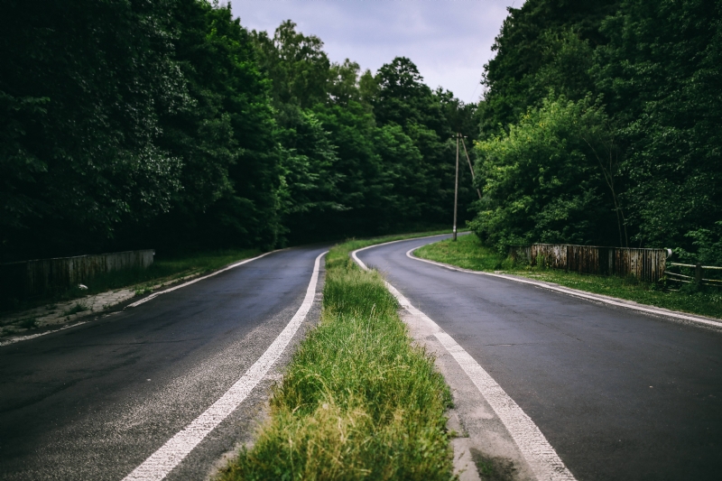 kaboompics_Asphalt road through a forest.jpg 方案配图,色彩意境,绿色,