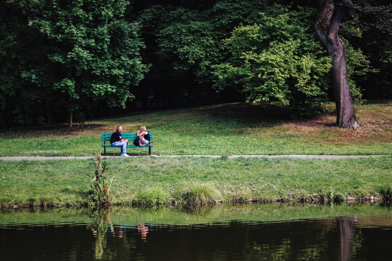 kaboompics_Copule in the park.jpg 方案配图,色彩意境,绿色,