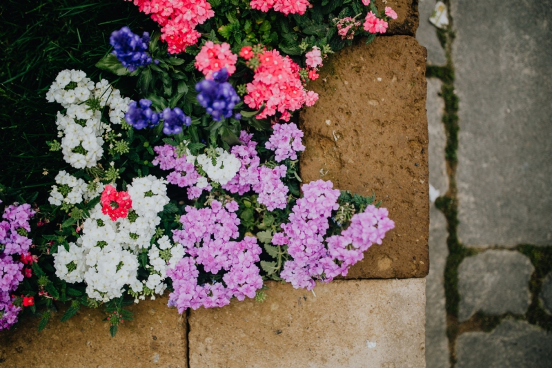 kaboompics_Flower shop in Castelfranco Veneto, Italy.jpg 方案配图,色彩意境,绿色,