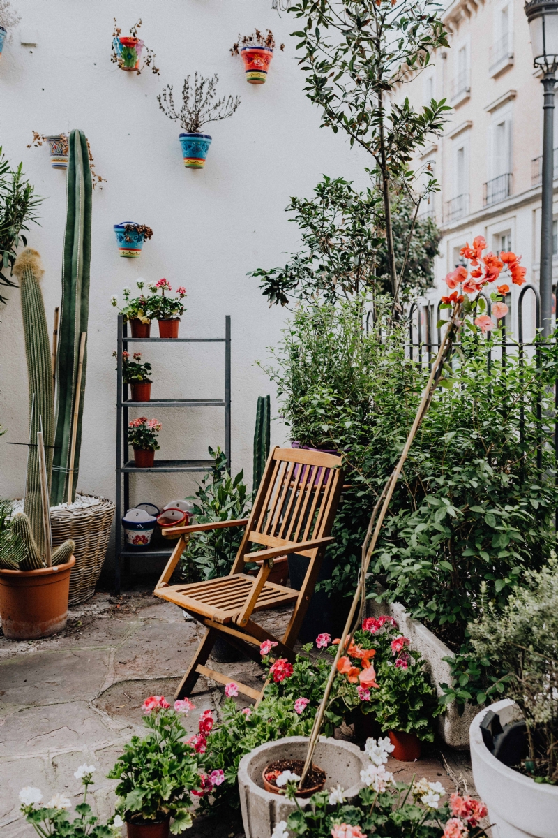 kaboompics_Flower shops in Madrid, Spain.jpg 方案配图,色彩意境,绿色,