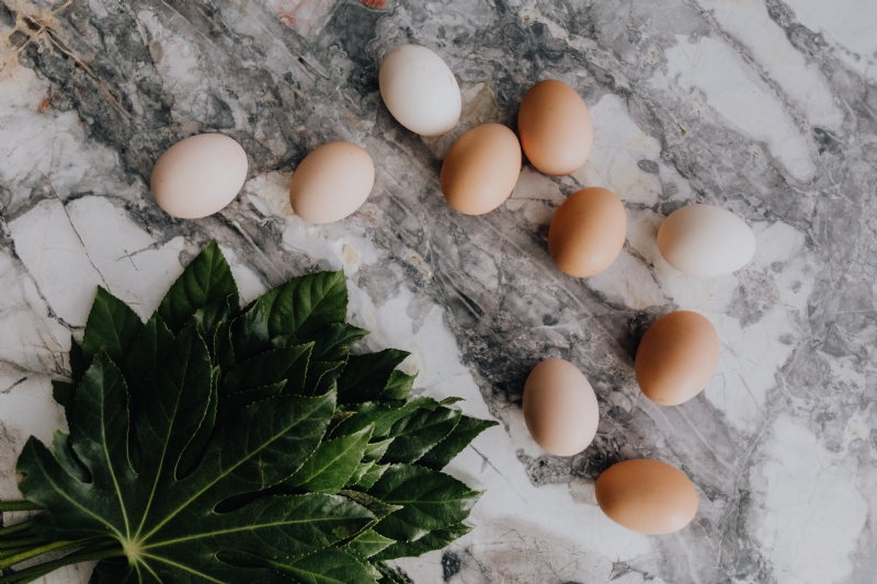 kaboompics_Fresh eggs on the marble table.jpg 方案配图,色彩意境,绿色,