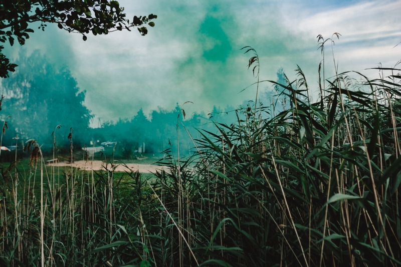 kaboompics_Green smoke bomb.jpg 方案配图,色彩意境,绿色,