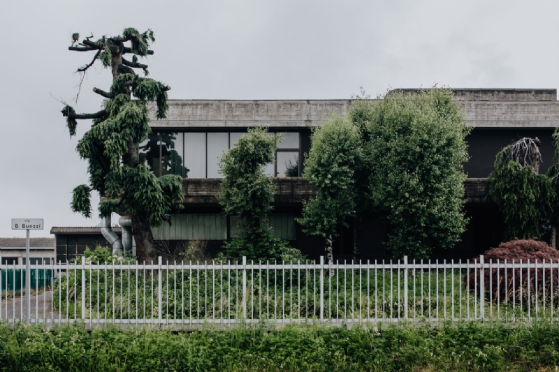 kaboompics_Municipal greenery - modern house, trees, hedge and fence-2.jpg 方案配图,色彩意境,绿色,