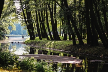 绿色 kaboompics_The river in the park.jpg