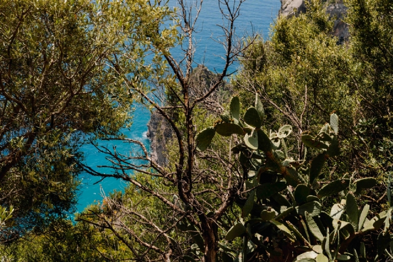 kaboompics_Views from Amalfi Drive - Strada Statale 163, Amalfi Coast, Italy-2.jpg 方案配图,色彩意境,绿色,