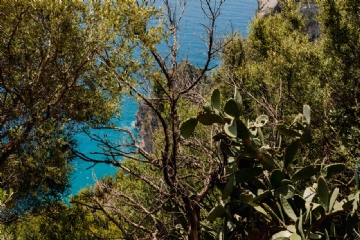 绿色 kaboompics_Views from Amalfi Drive - Strada Statale 163, Amalfi Coast, Italy-2.jpg