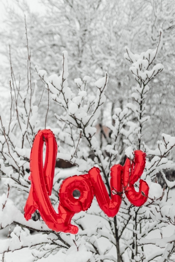 红色 kaboompics_Love on a tree.jpg