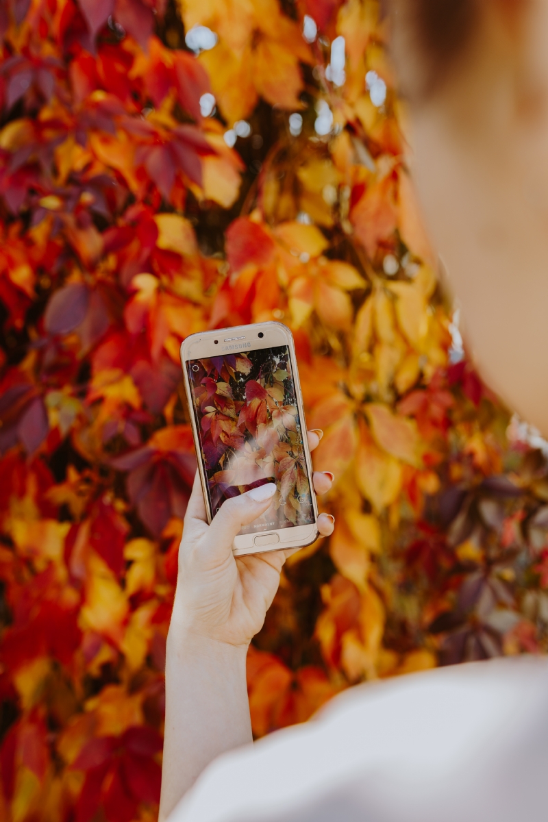 kaboompics_The woman takes a picture of the autumn leaves with her phone.jpg 方案配图,色彩意境,红色,