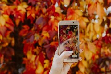 红色 kaboompics_The woman takes a picture of the autumn leaves with her phone-2.jpg