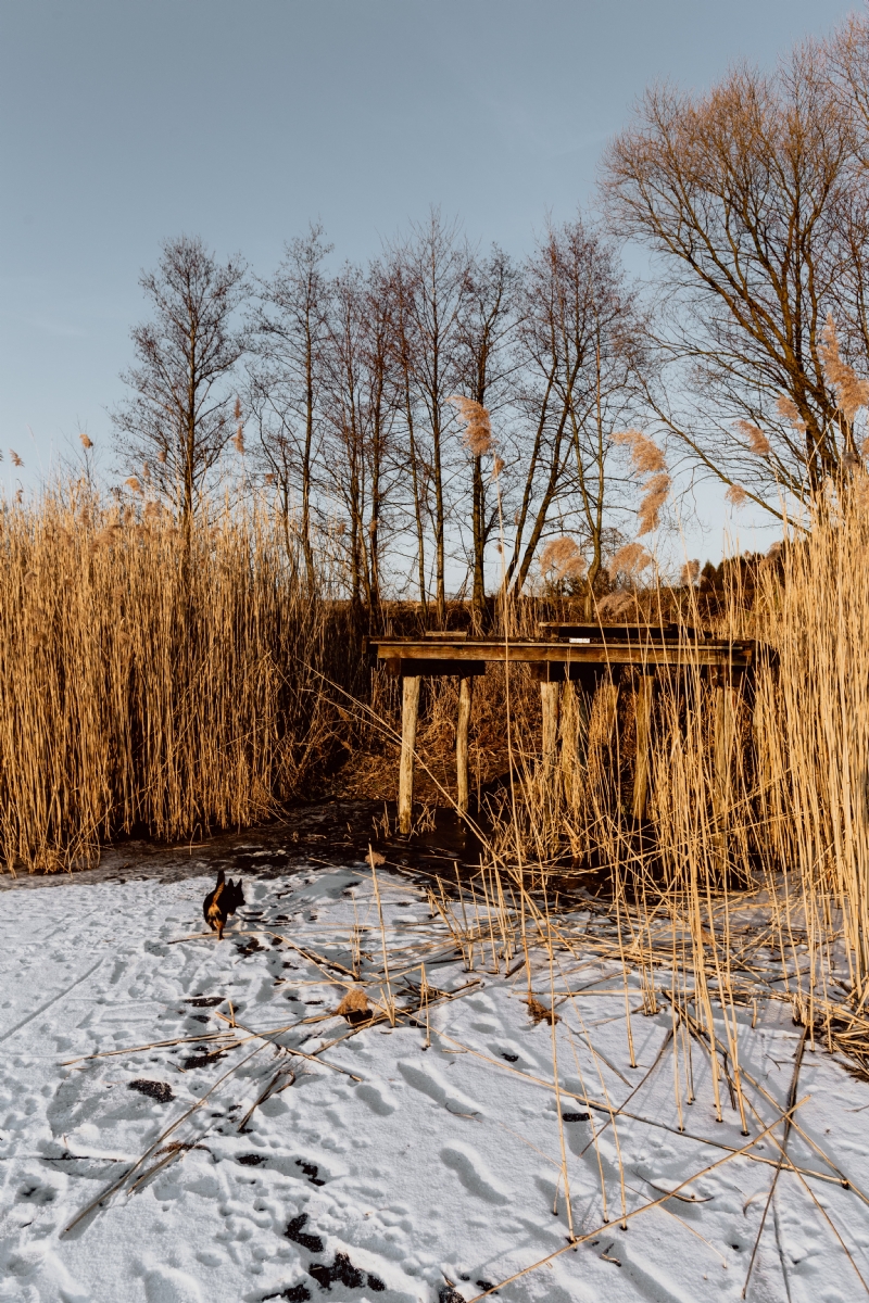 kaboompics_In middle of frozen lake.jpg 方案配图,色彩意境,橙色,