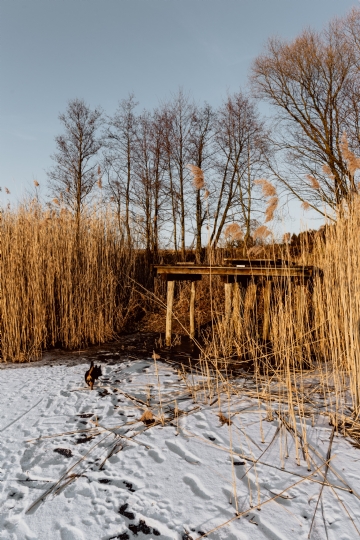 橙色 kaboompics_In middle of frozen lake.jpg