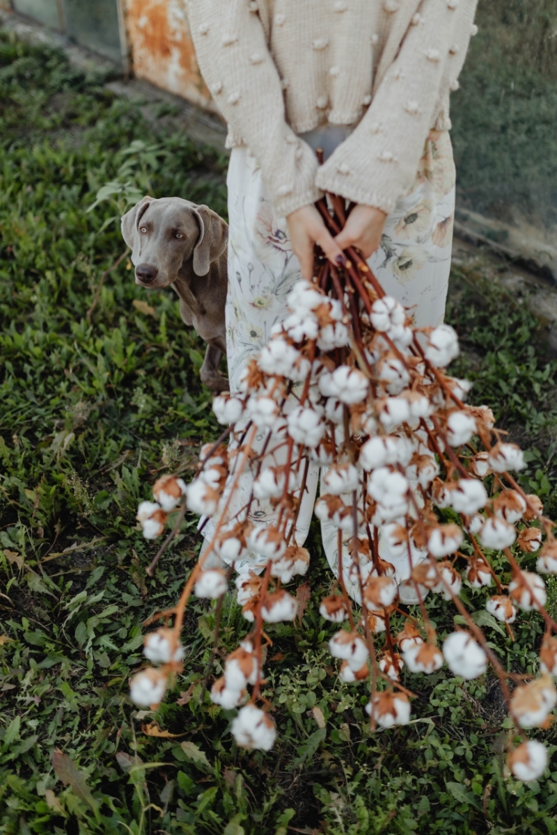 kaboompics_A beautiful tall woman holds cotton branches-2.jpg 方案配图,色彩意境,白色,