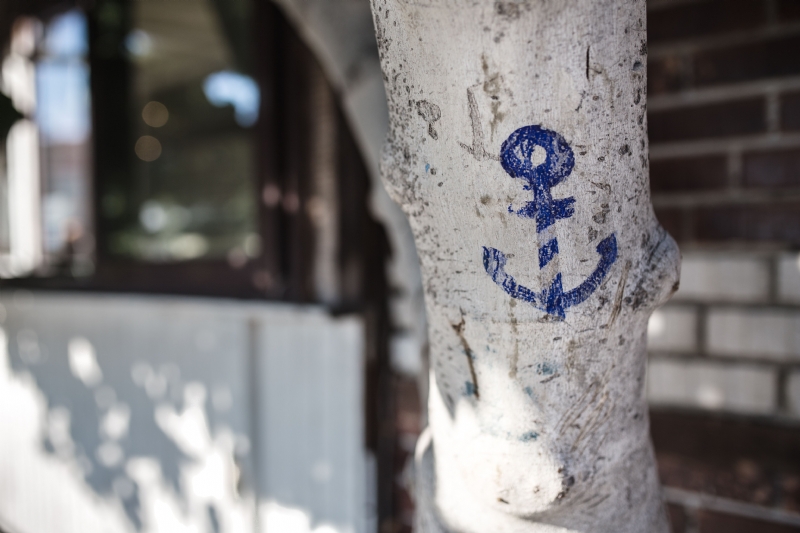kaboompics_Anchor drawn on the tree, Nessebar, Bulgaria.jpg 方案配图,色彩意境,白色,