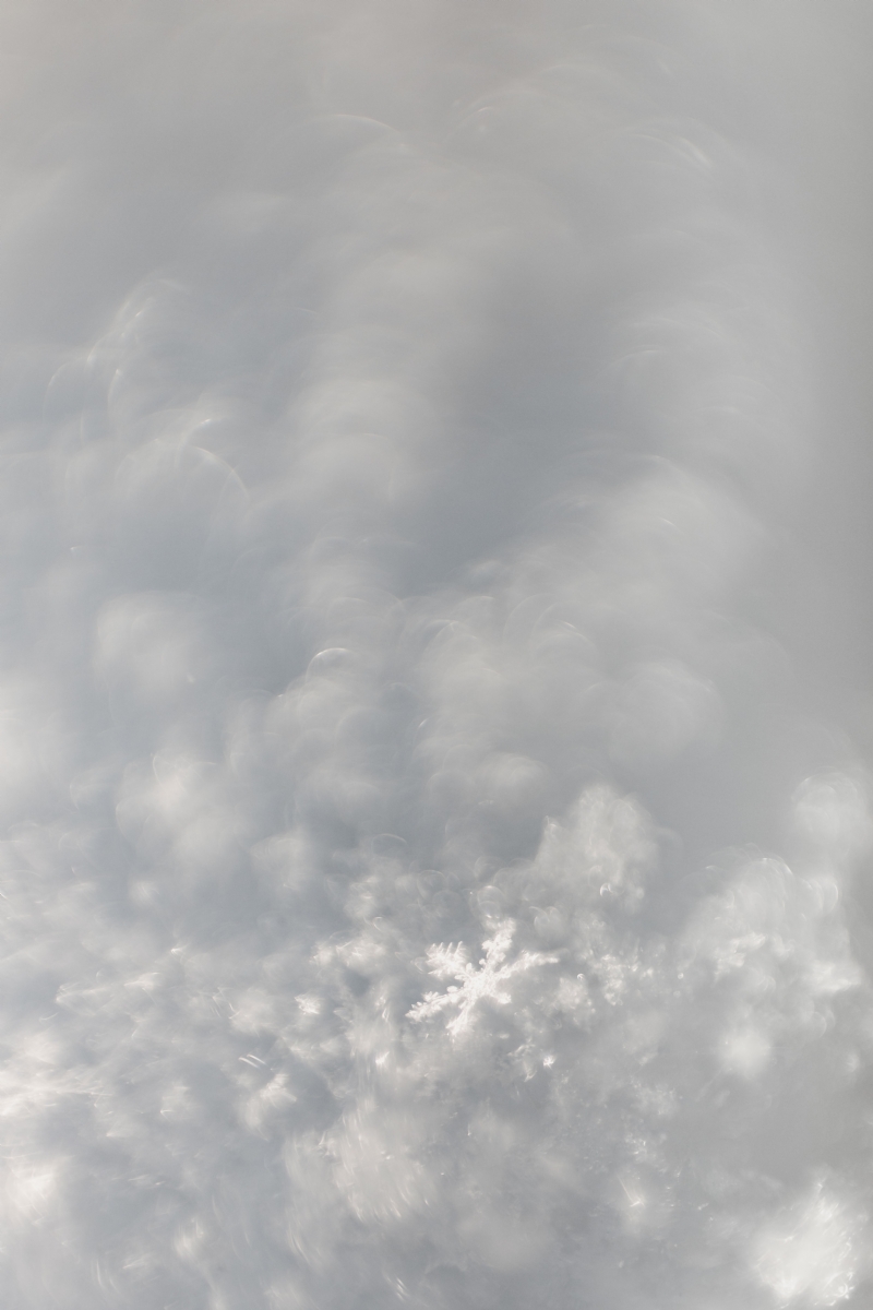 kaboompics_Close-up of snowflakes.jpg 方案配图,色彩意境,白色,