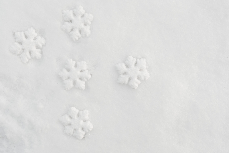 kaboompics_Decorative snowflakes on fresh snow.jpg 方案配图,色彩意境,白色,