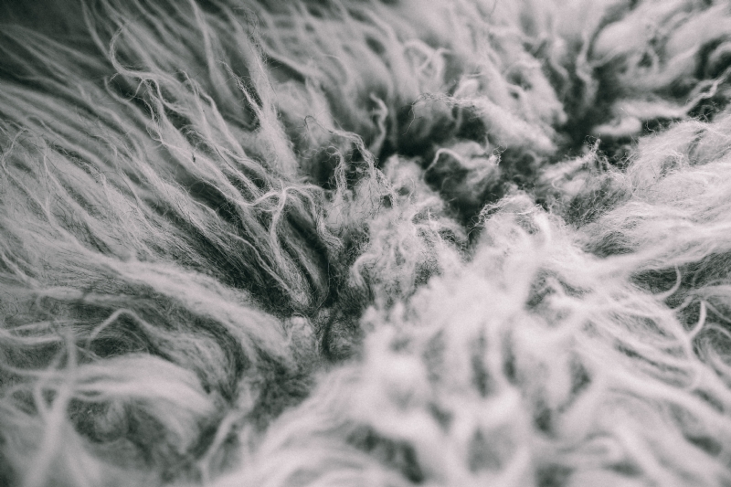 kaboompics_Faux Fur Pillow.jpg 方案配图,色彩意境,白色,