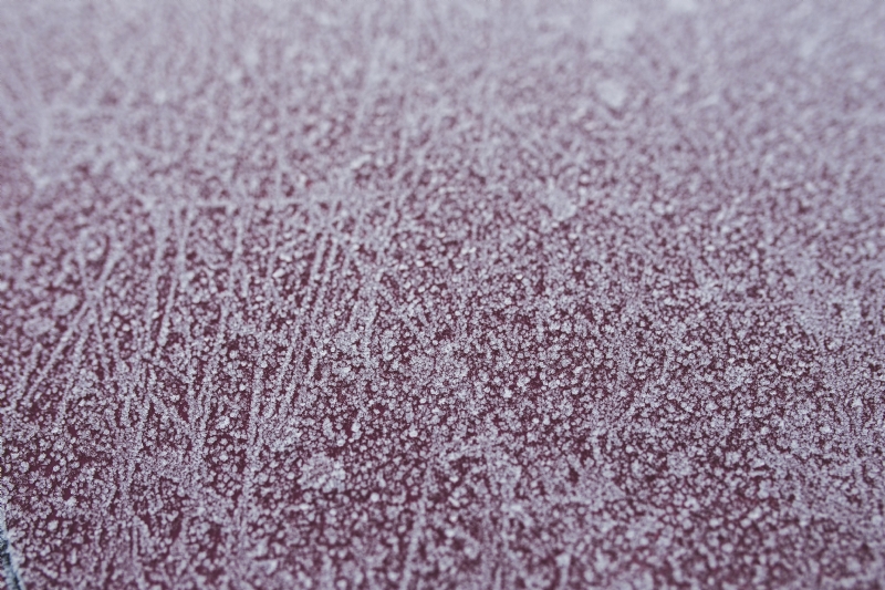 kaboompics_Frost on red background.jpg 方案配图,色彩意境,白色,