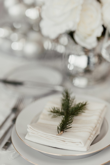 白色 kaboompics_Porcelain tableware with napkin and spruce branch.jpg