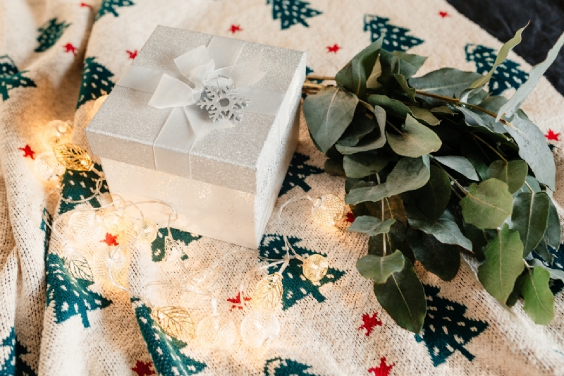 kaboompics_White decorative gift box and eucalyptus twigs on a blanket-2.jpg 方案配图,色彩意境,白色,