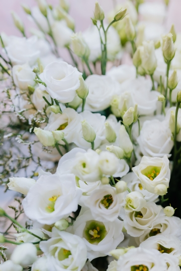 白色 kaboompics_White Eustoma, commonly known as lisianthus or prairie gentian.jpg