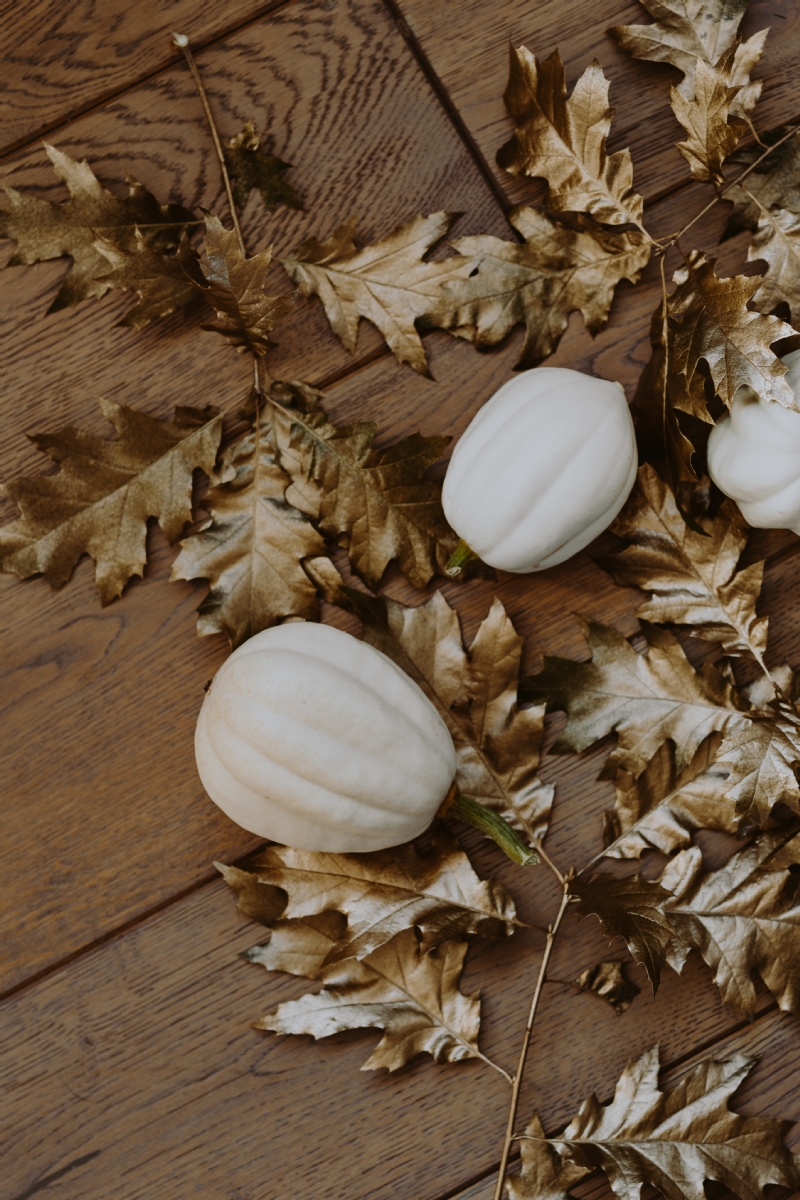 kaboompics_White pumpkins with golden oak leaves.jpg 方案配图,色彩意境,白色,