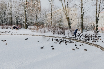 白色 kaboompics_Woman feeding a ducks.jpg