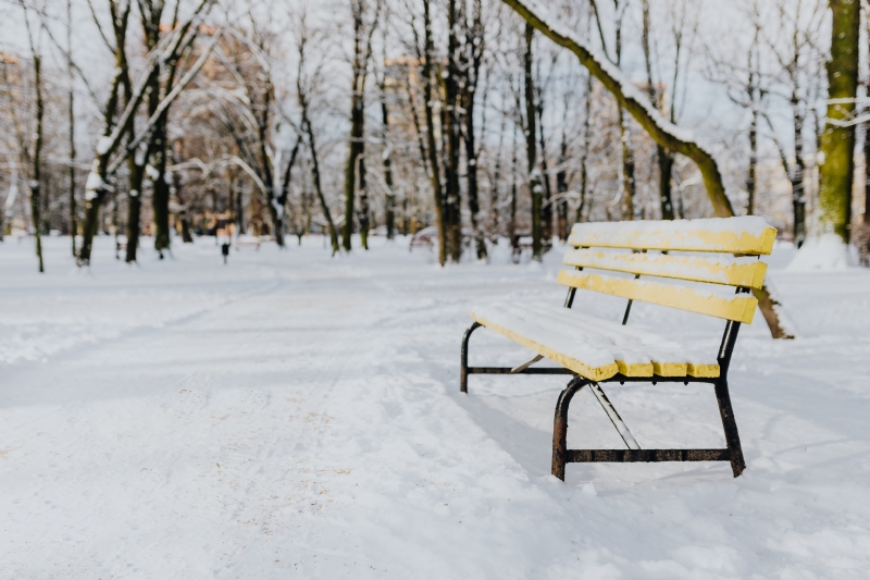 kaboompics_Yellow bench a wintery park.jpg 方案配图,色彩意境,白色,