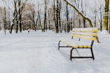 白色 kaboompics_Yellow bench a wintery park.jpg