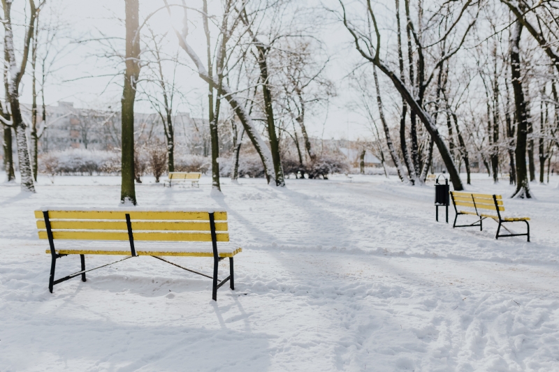 kaboompics_Yellow benches a wintery park.jpg 方案配图,色彩意境,白色,