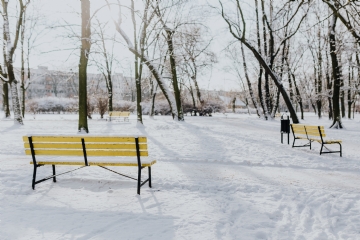 白色 kaboompics_Yellow benches a wintery park.jpg