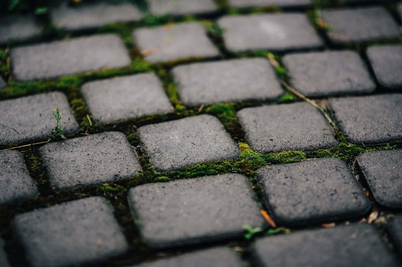 kaboompics_Cobblestone path close-up.jpg 方案配图,色彩意境,灰色,