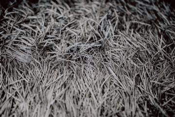 灰色 kaboompics_Grey rug texture closeup.jpg