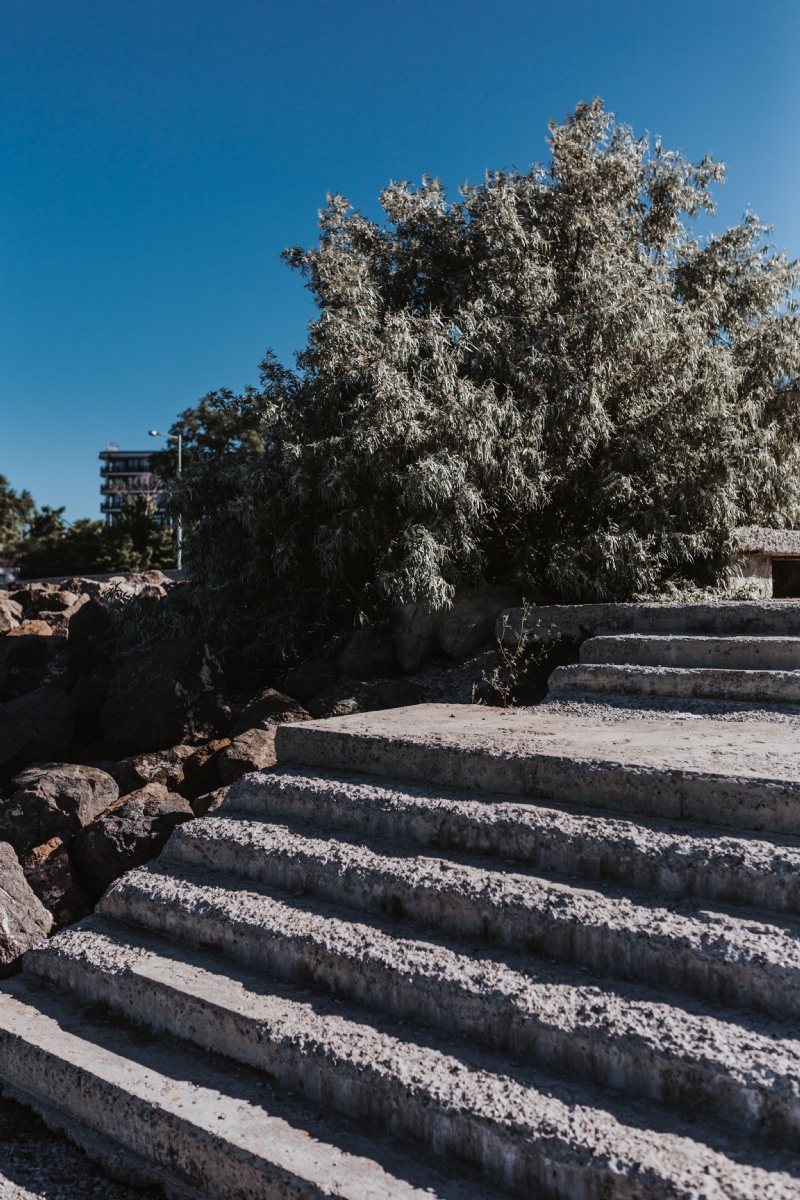 kaboompics_Tree and old stairs, Nessebar, Black Sea, Bulgaria.jpg 方案配图,色彩意境,灰色,