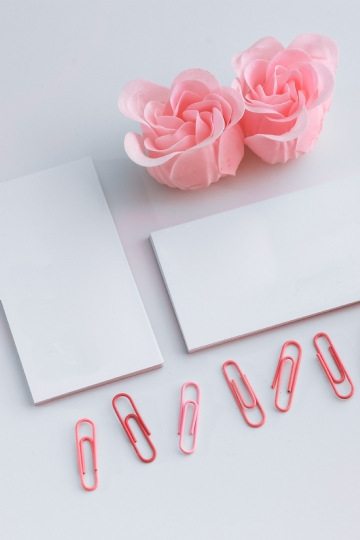 粉色 kaboompics_Little sheets of paper with pink paper clips.jpg