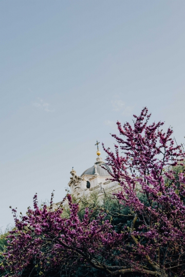 紫色 kaboompics_View of the Royal Palace of Madrid through the gardens, Spain.jpg