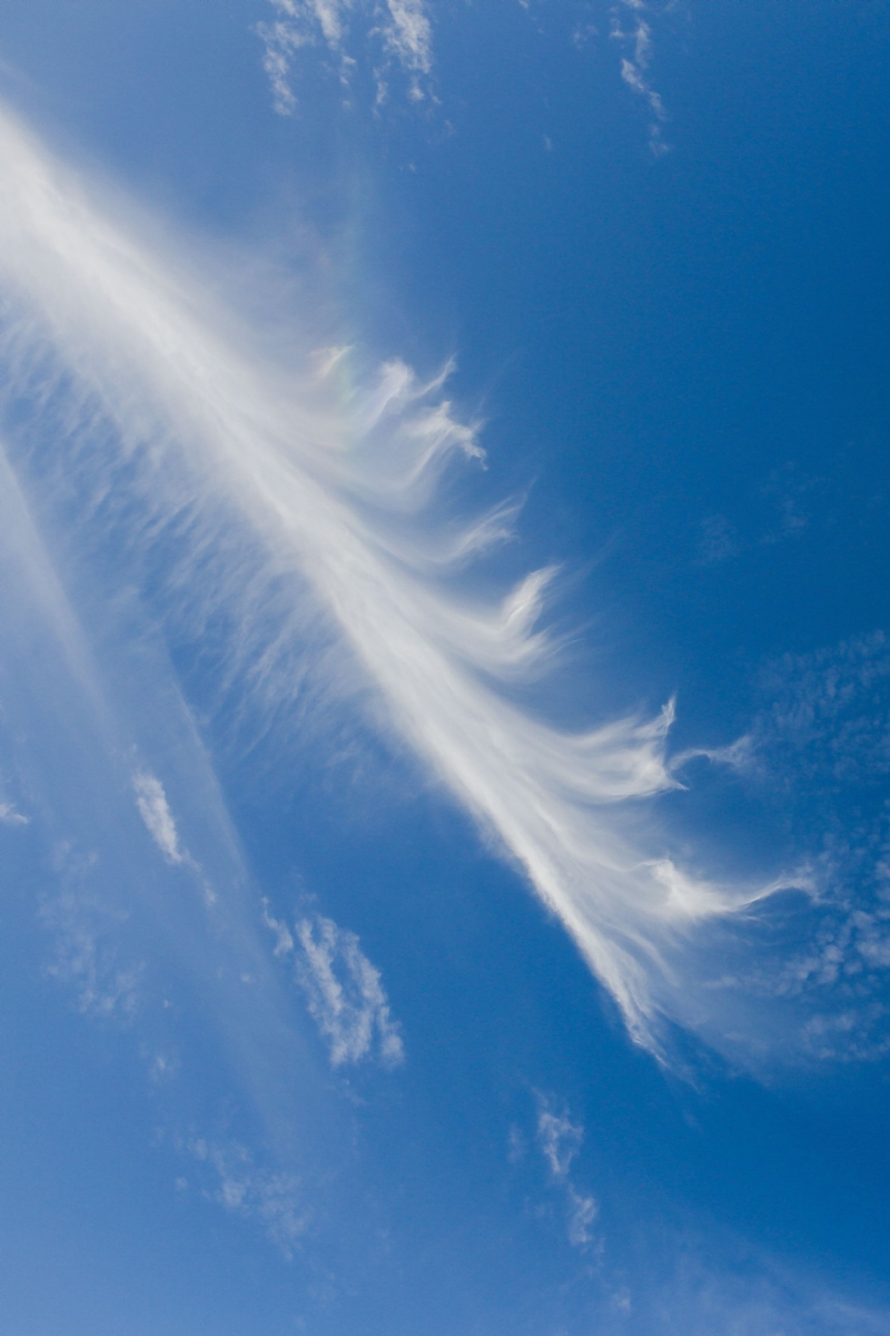 kaboompics_Cloudy blue sky.jpg 方案配图,色彩意境,蓝色,